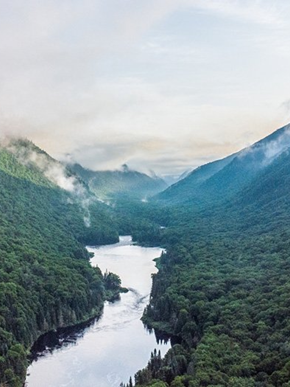 Vue aérienne d’une vallée entourée de montagnes couvertes de forêt dense, avec une rivière sinuant au centre sous une brume matinale. 